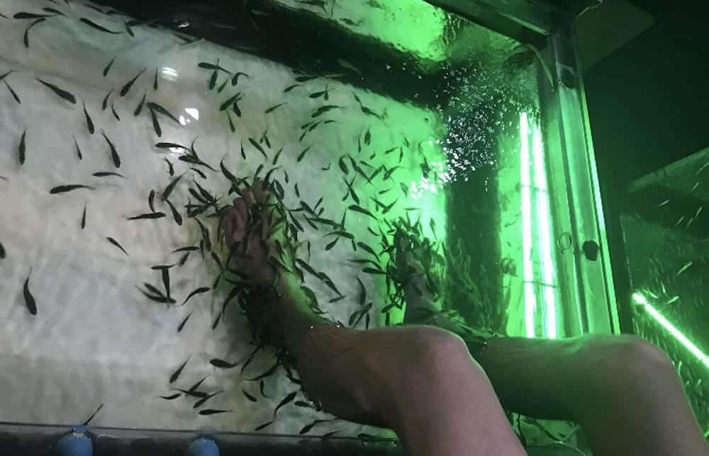 Fish spa